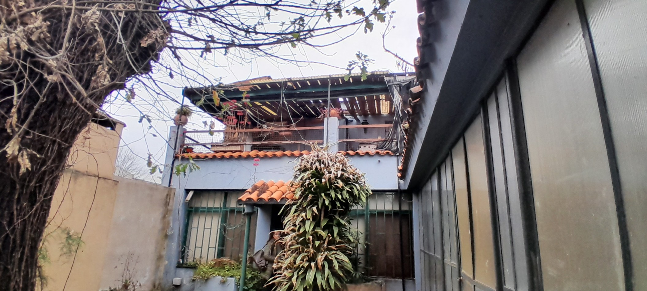 VENTA-ALBERDI-CASA CON PARQUE ARBOLADO-POSIBILIDAD DE INVERSION-UNIDAD INSTITUCIONAL